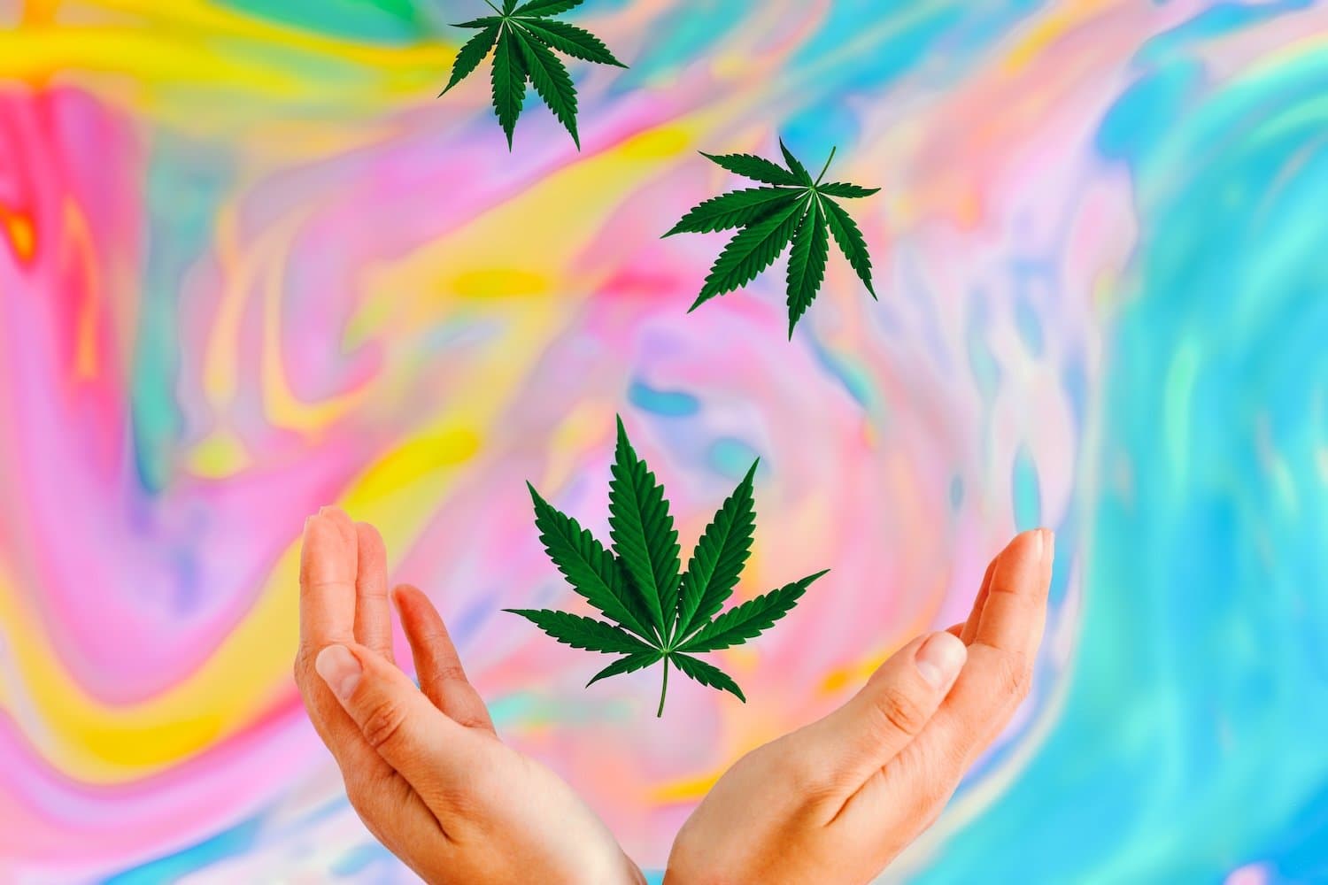 Top 5 Strains for Sparking Creativity and Why They Work