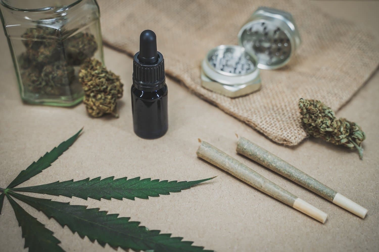 Fresh Buds: Exploring the Latest Cannabis Strains Released in May 2025