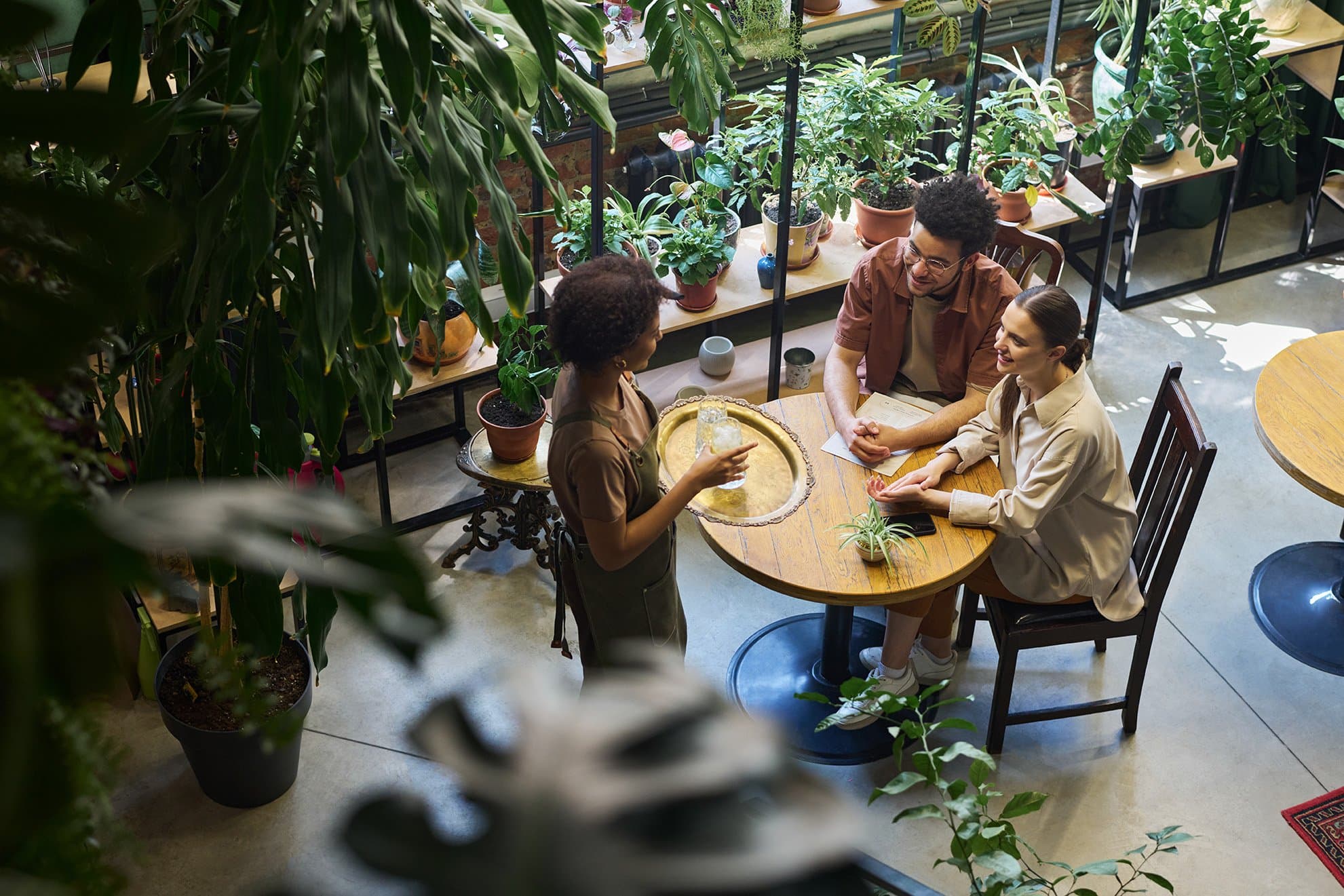 Setting Up a Cannabis Cafe: Essential Steps for Success