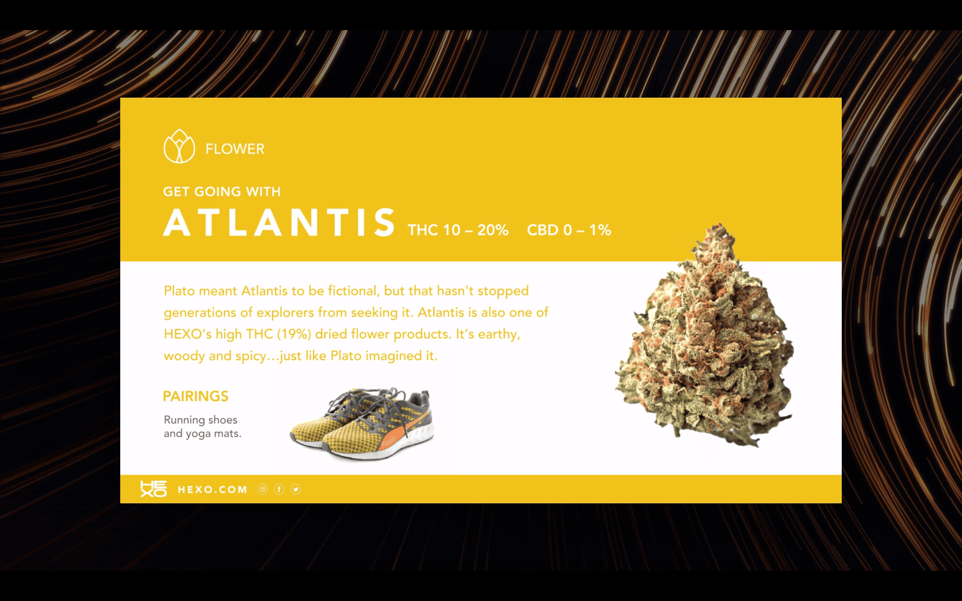 Brand Spotlight